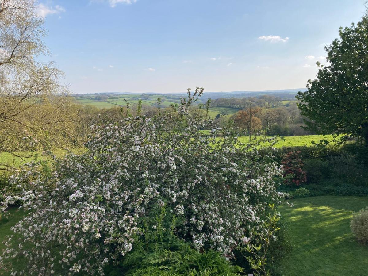 East Hillerton House Konuk evi Crediton Dış mekan fotoğraf